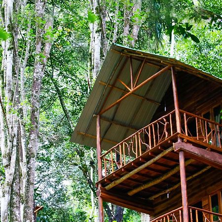 Ella Ecolodge Dış mekan fotoğraf