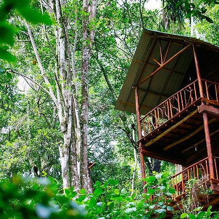 Ella Ecolodge Dış mekan fotoğraf