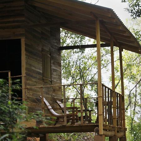 Ella Ecolodge Dış mekan fotoğraf