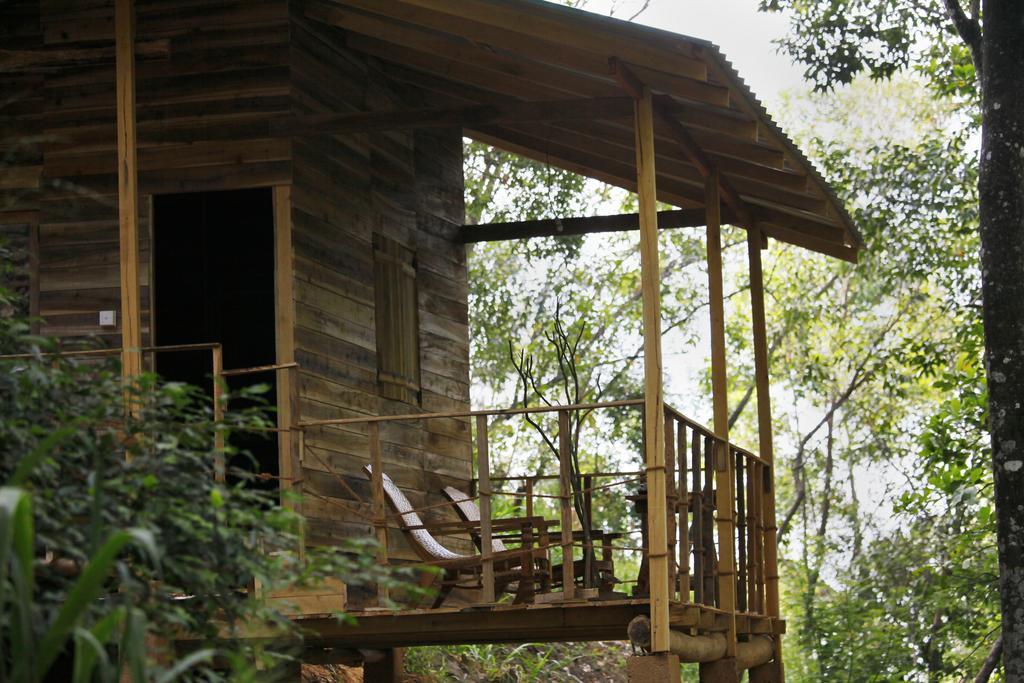 Ella Ecolodge Dış mekan fotoğraf