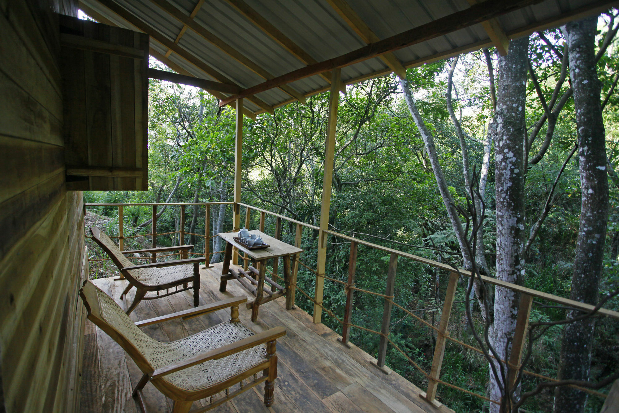 Ella Ecolodge Dış mekan fotoğraf