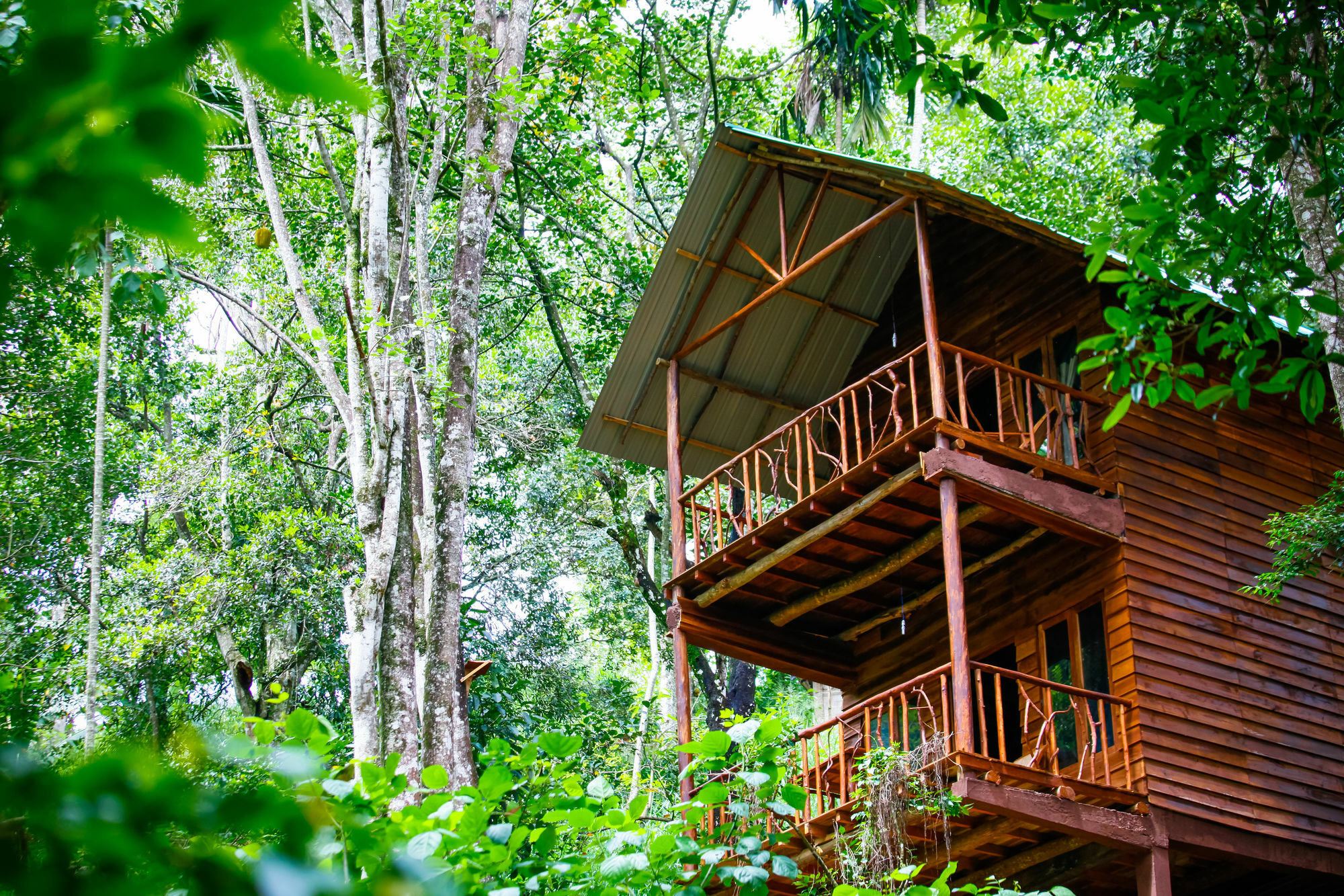 Ella Ecolodge Dış mekan fotoğraf