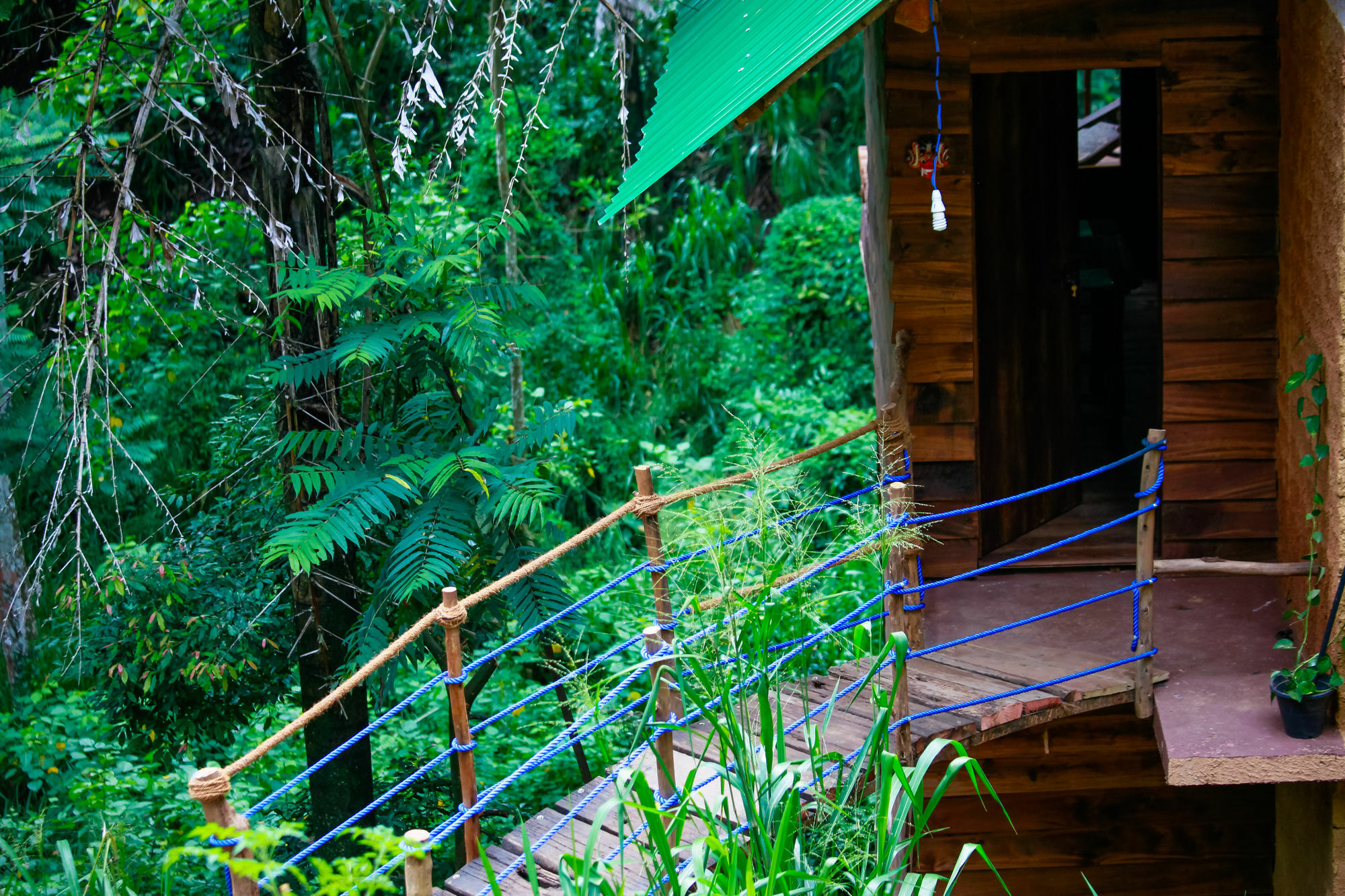 Ella Ecolodge Dış mekan fotoğraf