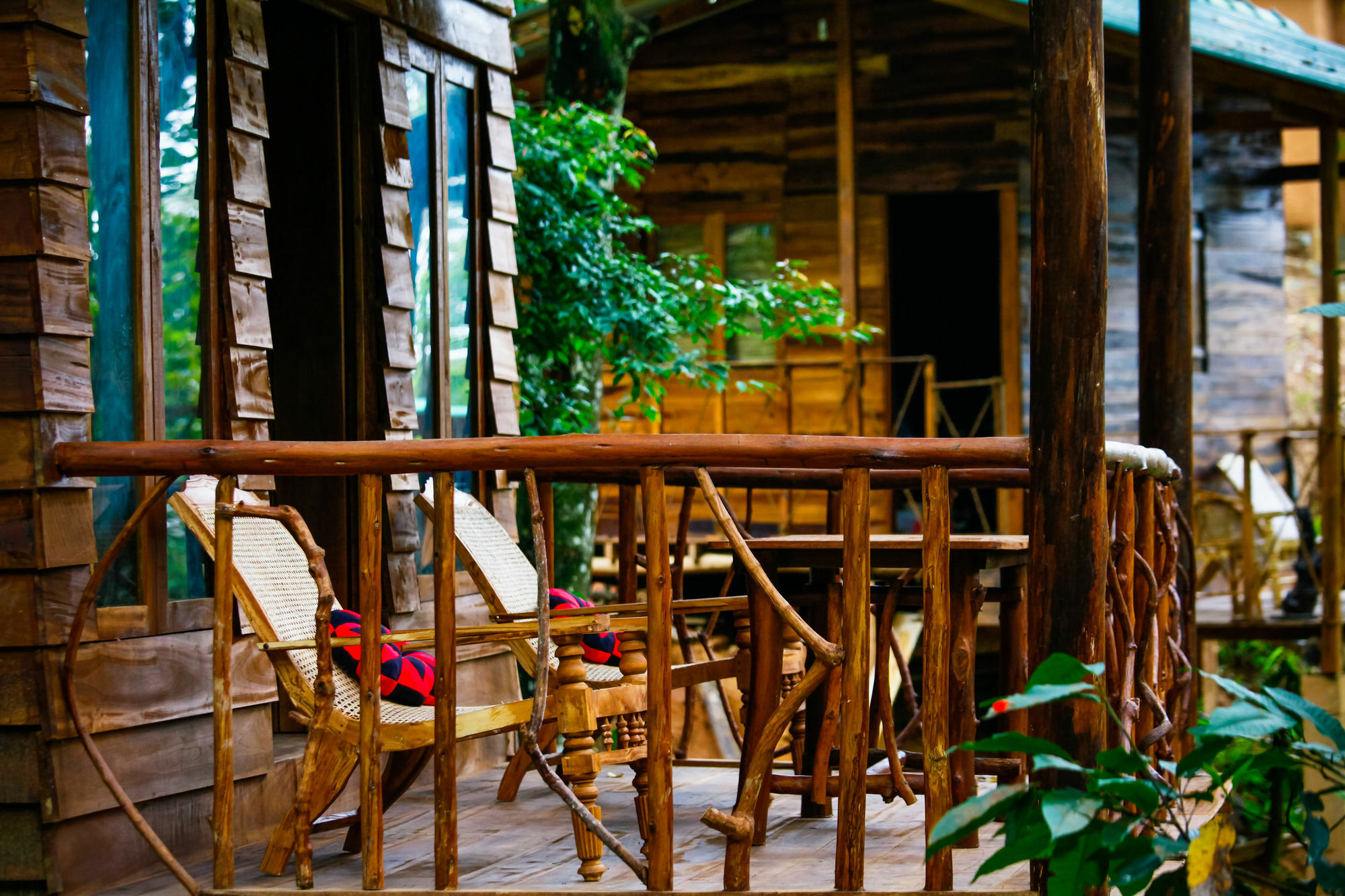 Ella Ecolodge Dış mekan fotoğraf