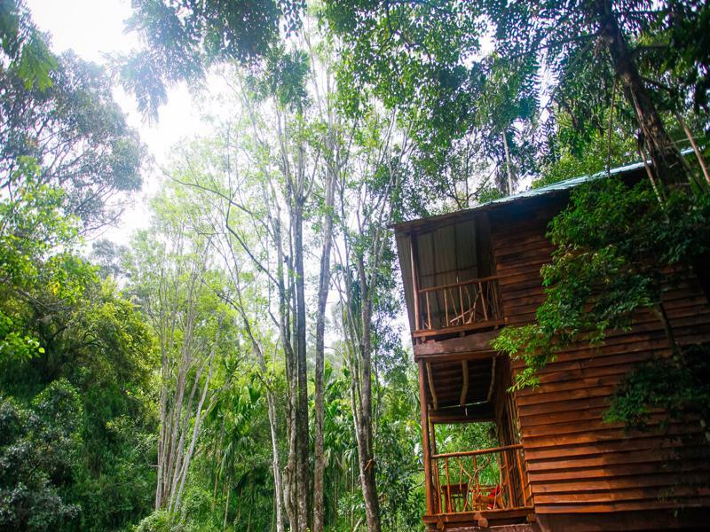 Ella Ecolodge Dış mekan fotoğraf