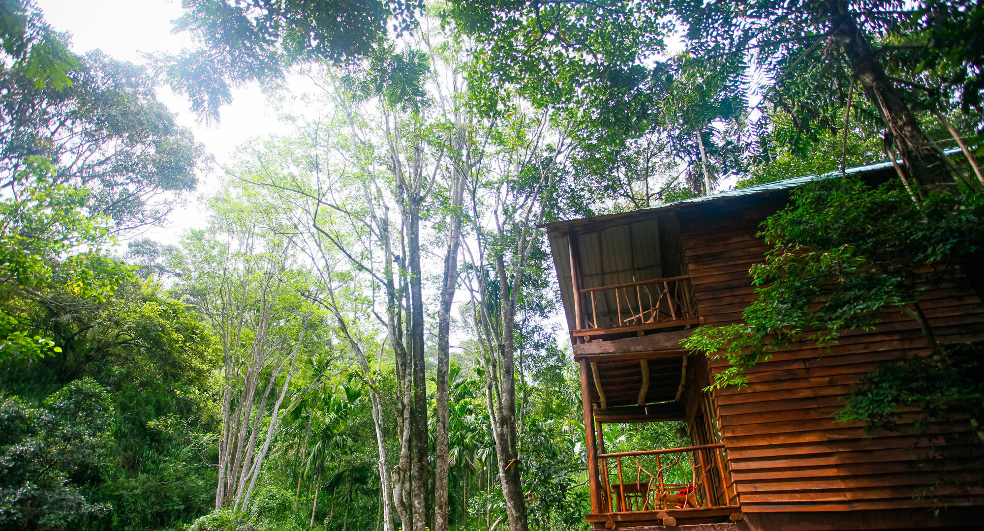 Ella Ecolodge Dış mekan fotoğraf