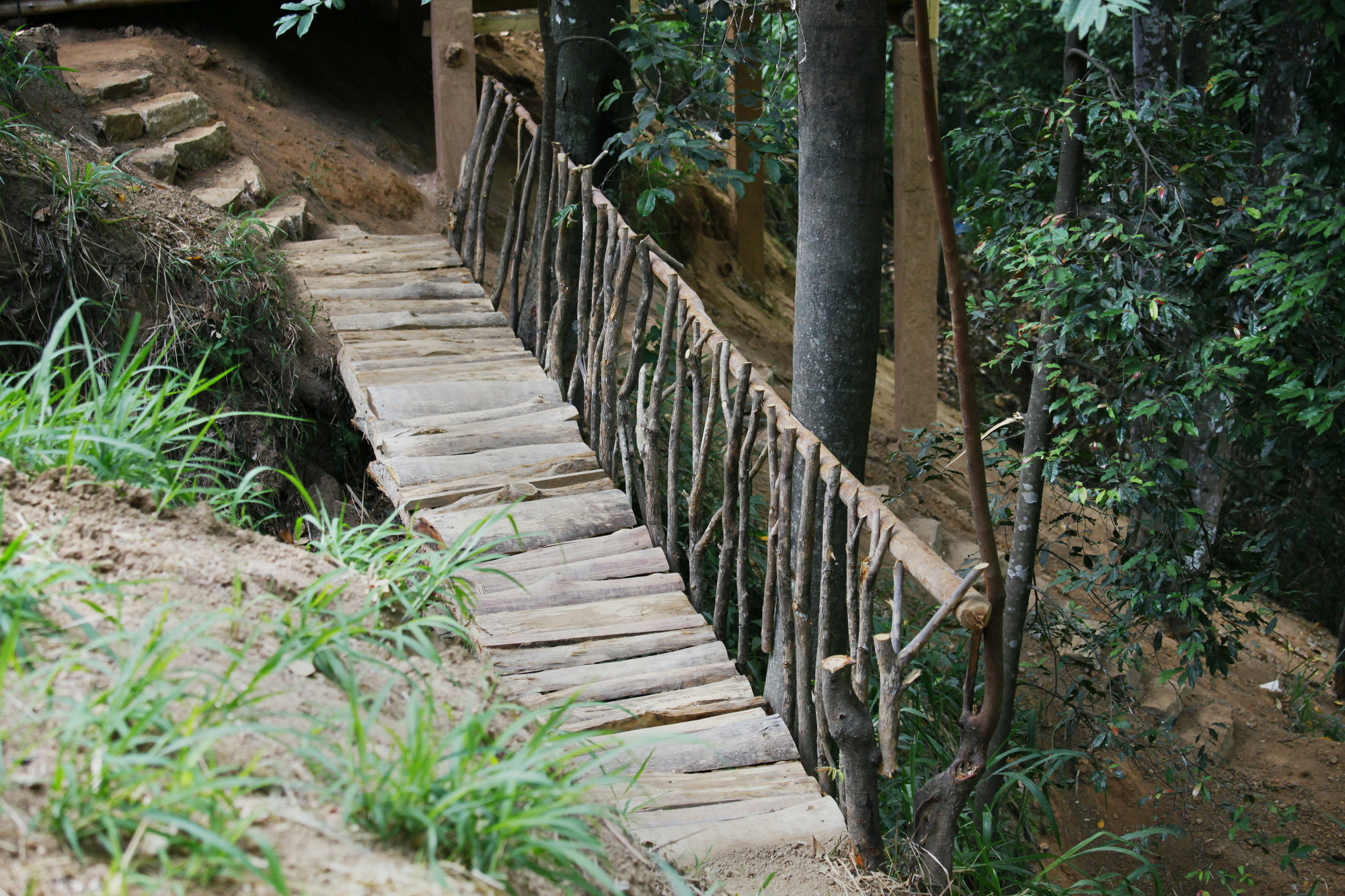 Ella Ecolodge Dış mekan fotoğraf