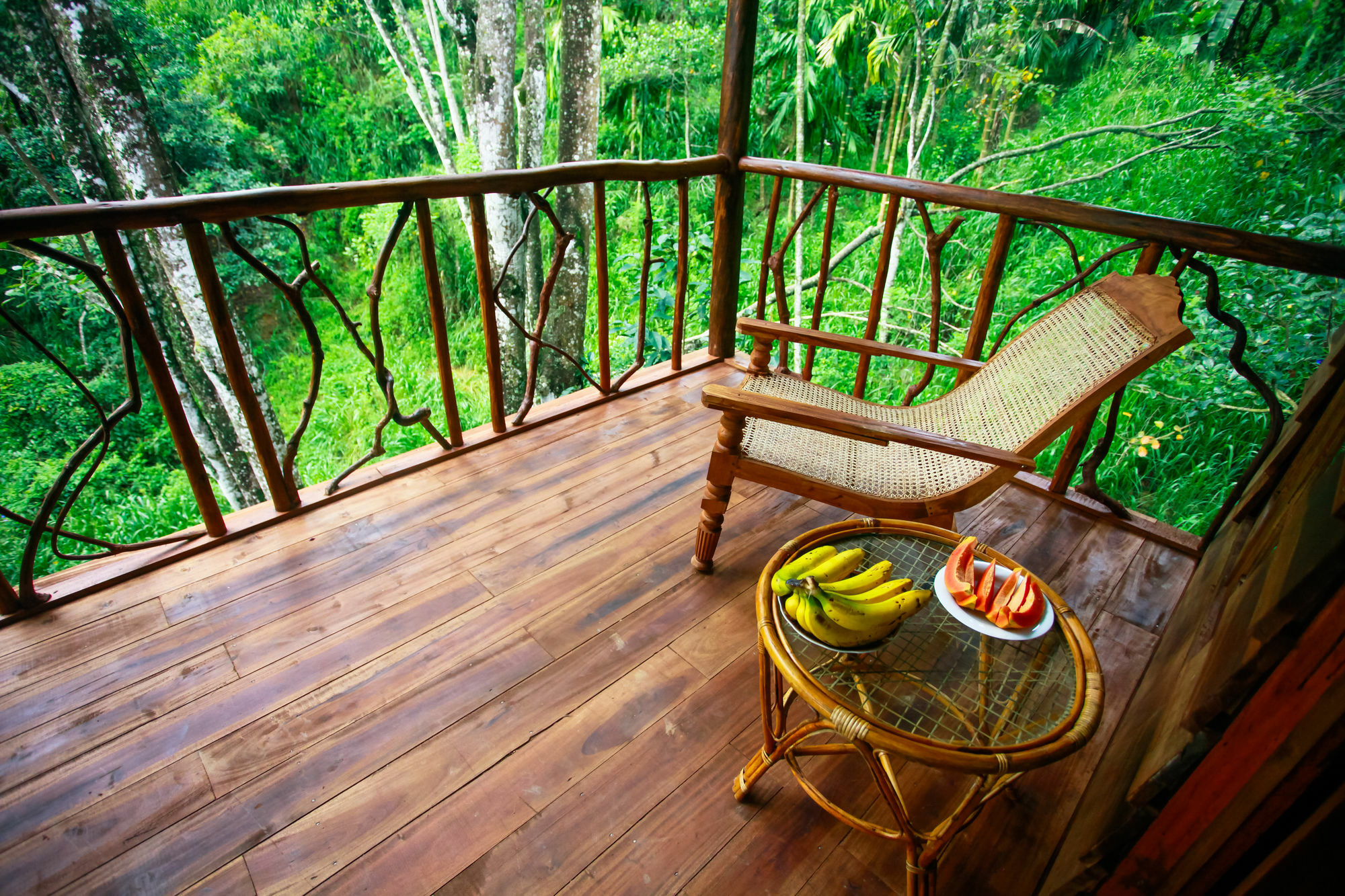 Ella Ecolodge Dış mekan fotoğraf