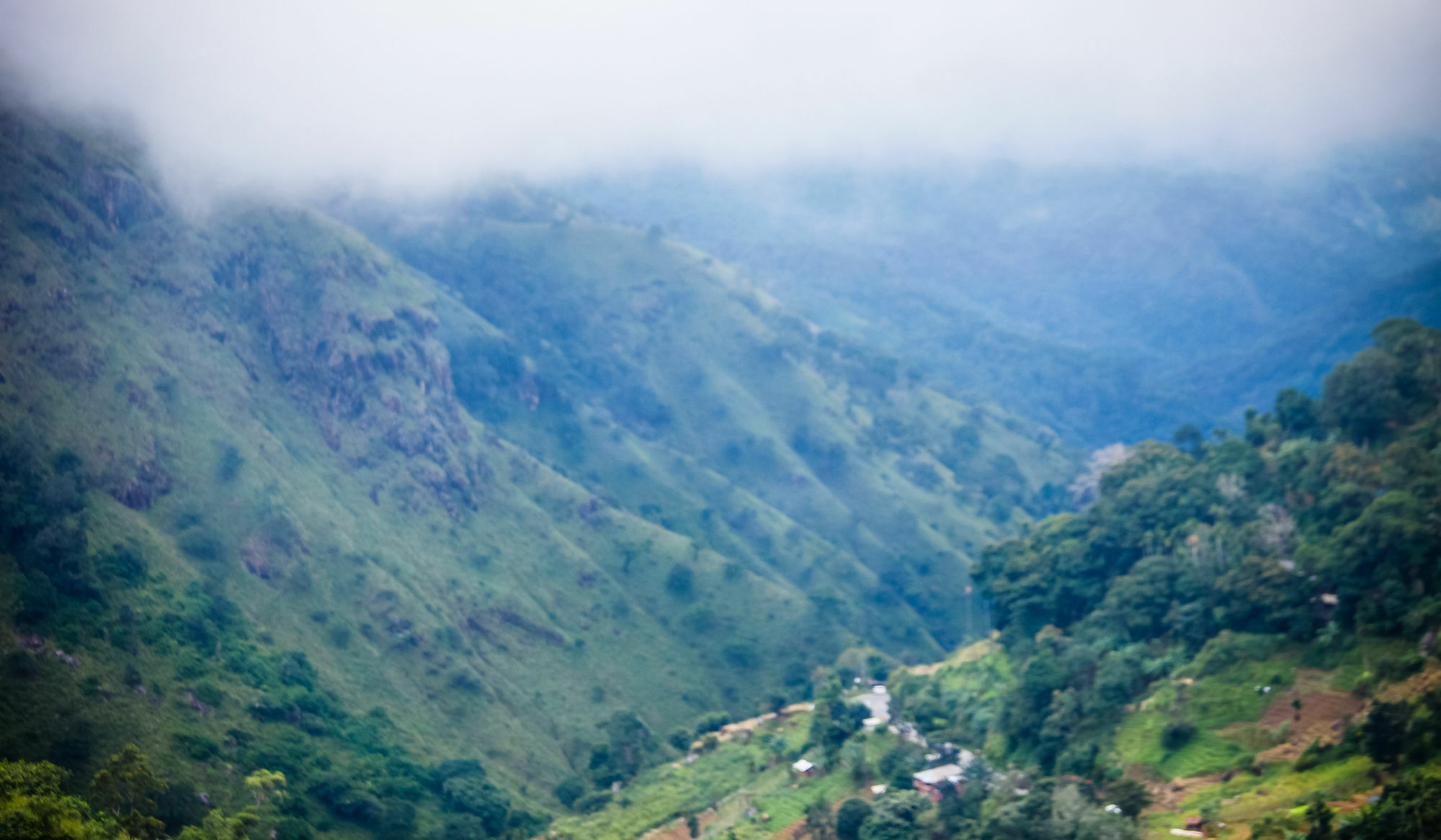 Ella Ecolodge Dış mekan fotoğraf